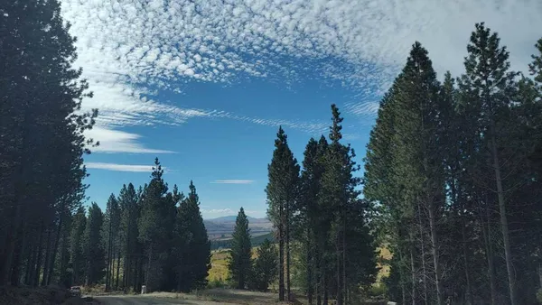 Terreno en TERRENO EN SAN MARTÍN DE LOS ANDES