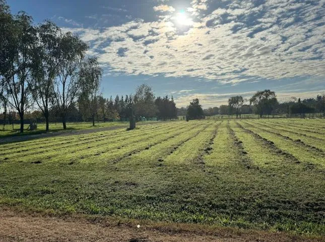 Terreno en LOMAS DE MANZANARES
