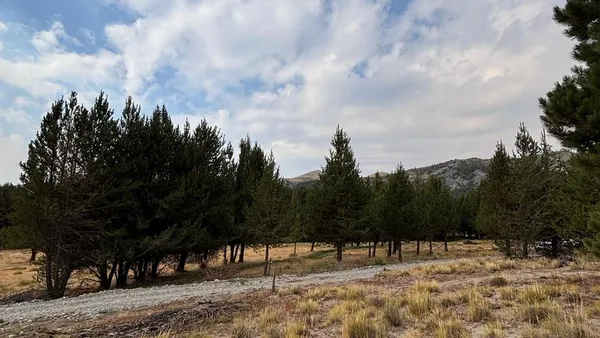 Terreno en Arroyo del medio