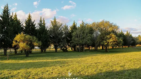 Terreno en Pueyrredón 1