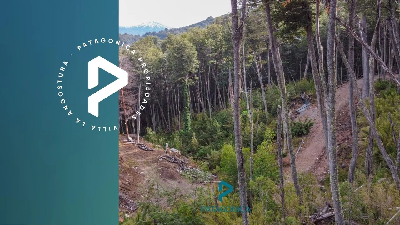 Terreno en Terreno UF 1C, Apto 2 UF, 2032m2, con vista al Lago en Barrio Exclusivo COTA MIL