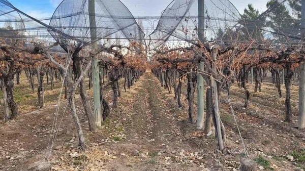 Campo en RUTA PROVINCIAL 16