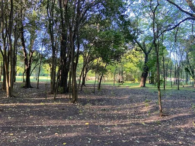 Terreno en Calle 424 ENTRE 10 Y 11