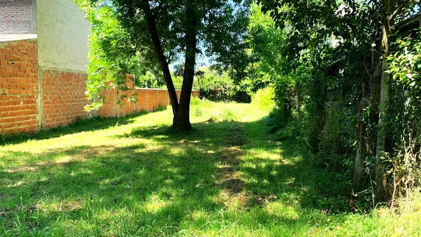 Terreno en Calle chingolo entre Los Olmos y Los tilos