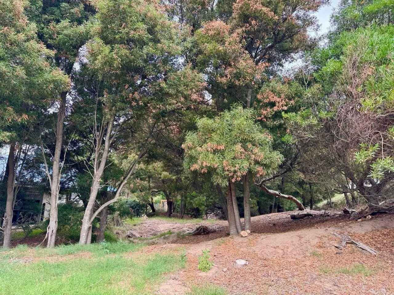Terreno en Senderos III