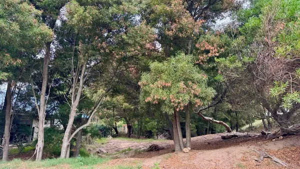 Terreno en Senderos III