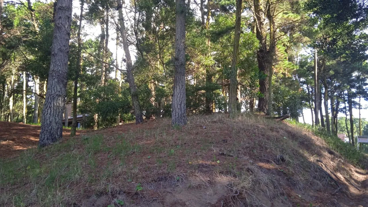 Terreno en Podestá entre Houssay y El Chajá