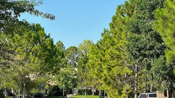 Terreno en El Cardal Dos