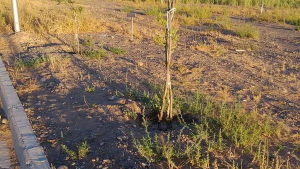 Terreno en Peumayen, Plottier