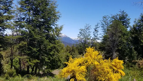 Terreno en Ojo de Dios al 100