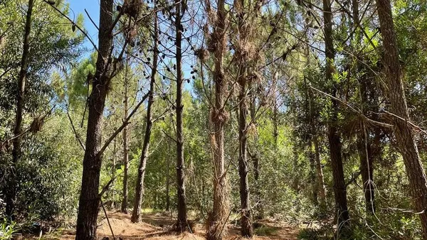Terreno en costa esmeralda