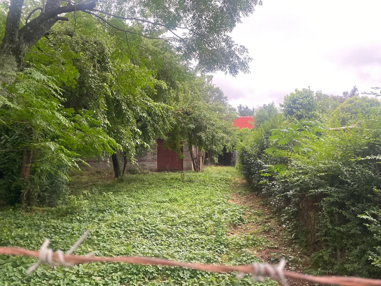 Terreno en Las Glicinas al 800