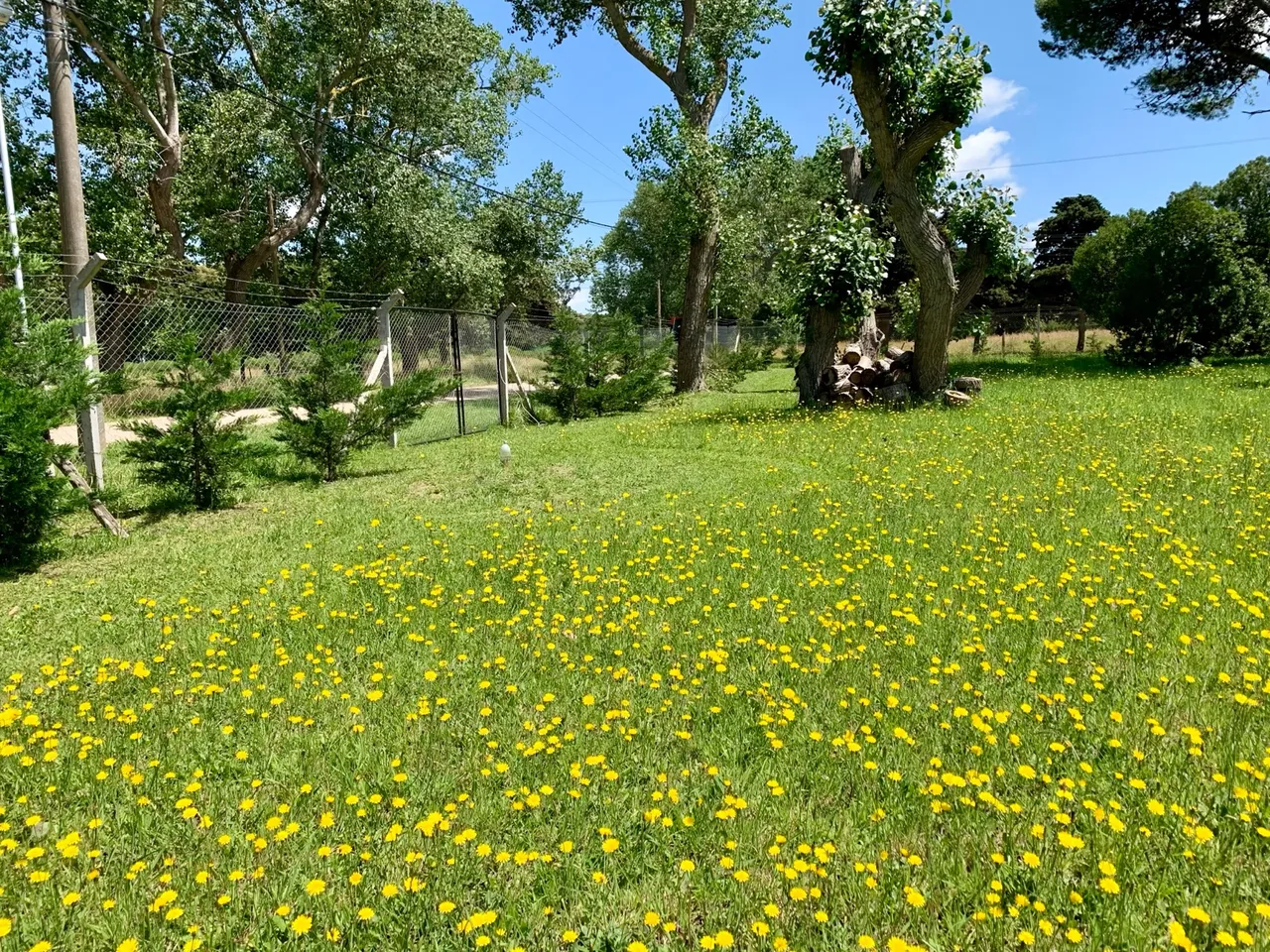 Terreno en Paraguay al 1200