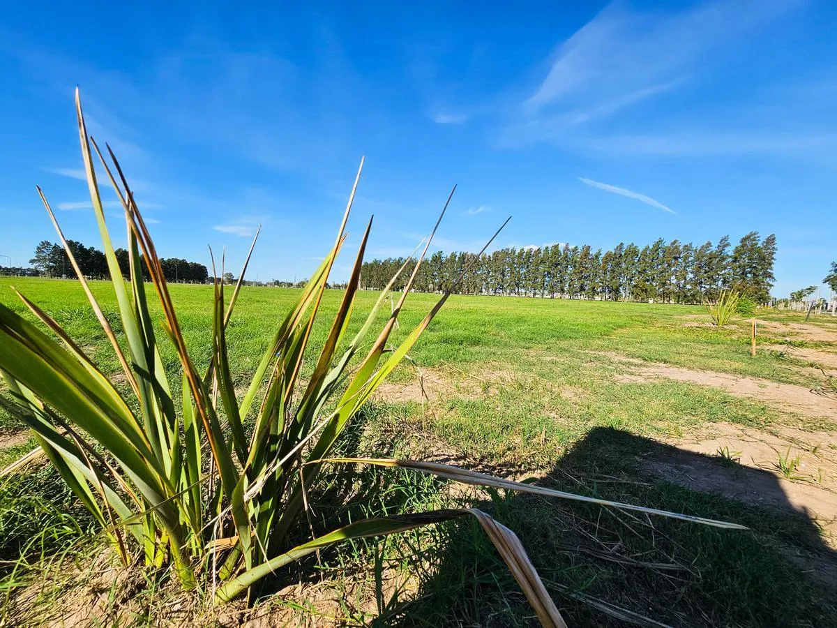 Terreno en Ecolagos Este - General Lagos - 312 m2