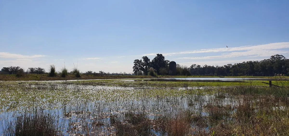 Terreno en ESTANCIA VILLA MARIA lote 1 G23 en Los Silos a LAGUNA