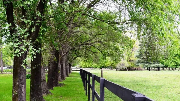 Terreno en LOTE EN VENTA- EN AZZURRA TORTUGAS