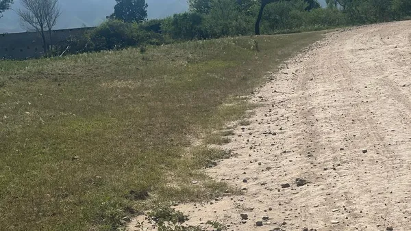 Terreno en Calle Publica, Localidad de Molinari