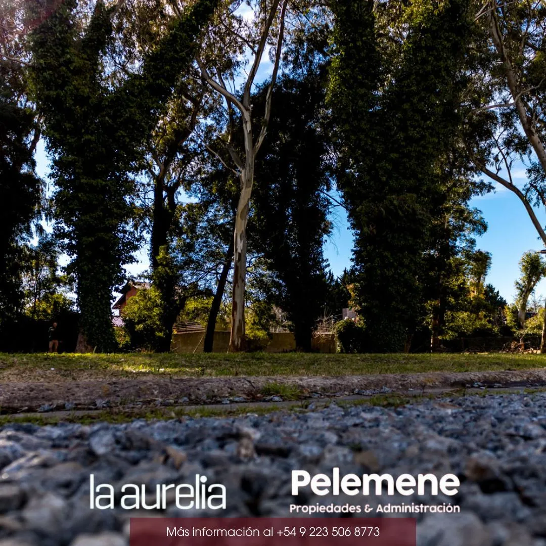 Terreno en Ruta Provincial 2 Km 395