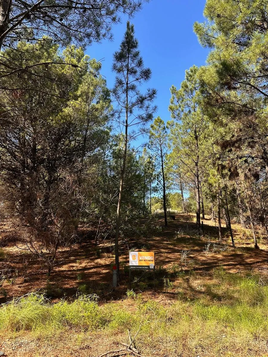 Terreno en manzana 94 lote 3