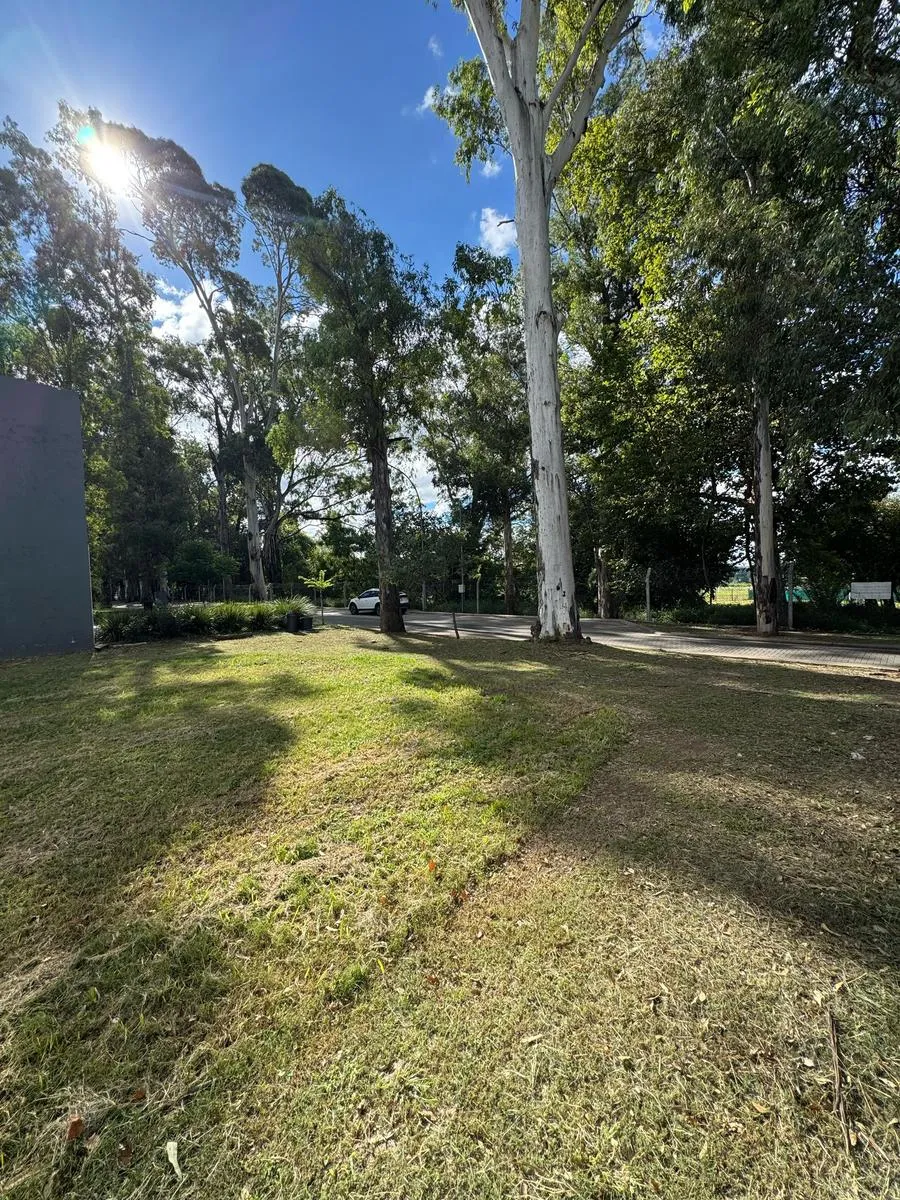Terreno en Lote en Santina Norte