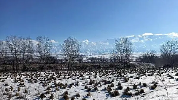 Terreno en La Carrera, Tupungato