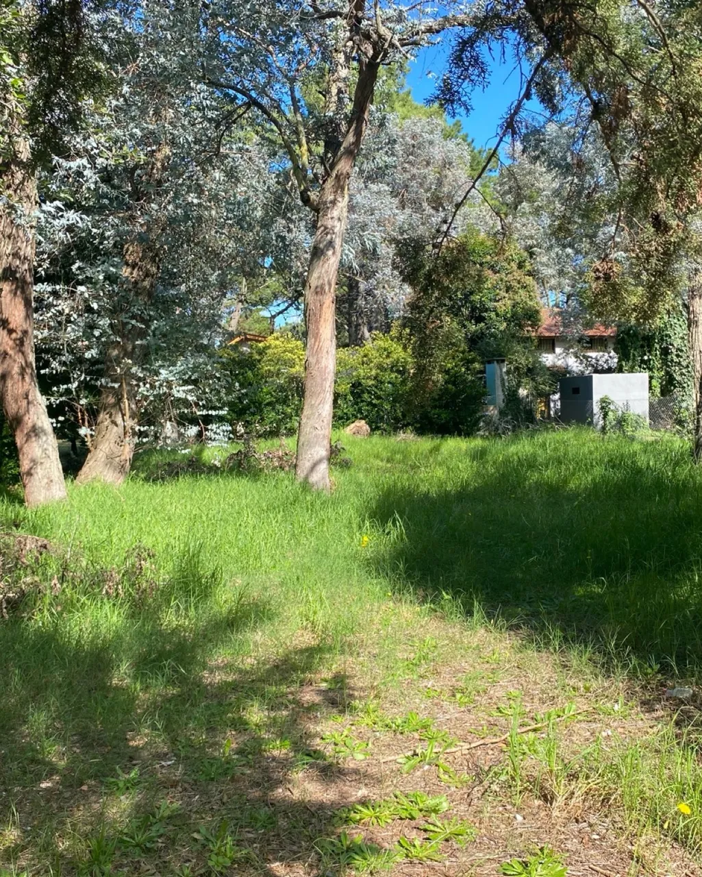 Terreno en LOTE EN VENTA Betbeder y Ayacucho al 1500