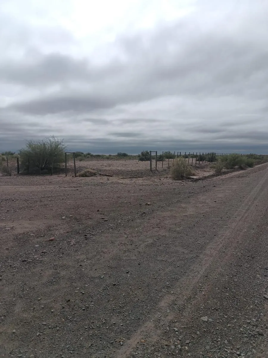 Campo en NUEVA CALIFORNIA TALAVERA Y ONETO