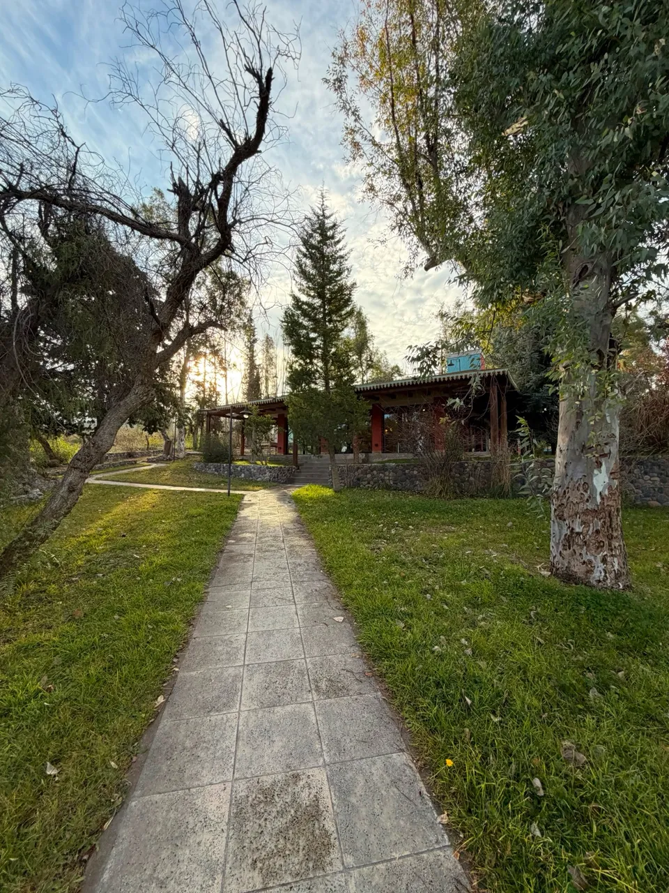 Fondo de Comercio en uta provincial 82 s/n , las compuertas, Luján de cuyo