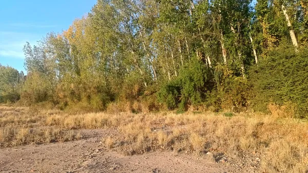 Terreno en Acceso este y Elpidio González