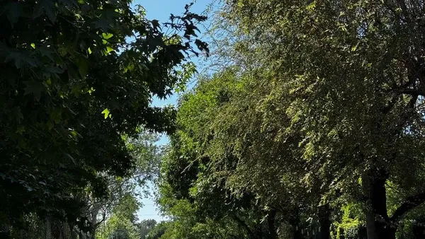 Terreno en Ernesto Palacio al 9100