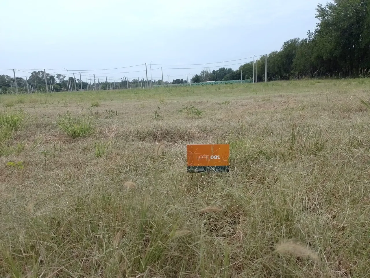Terreno en El Naranjo, lote 81 manzana 4.
