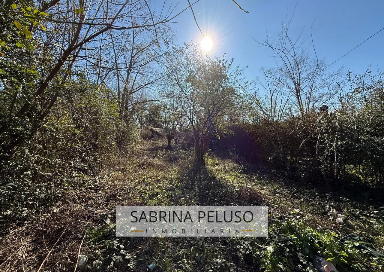 Terreno en Schubert al 2000
