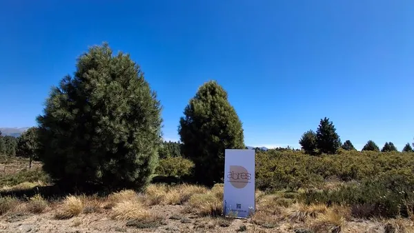 Terreno en Solares del Este