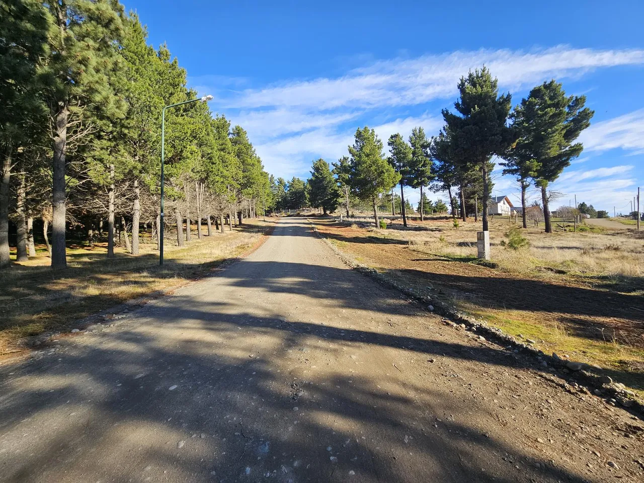Terreno en Los Nogales y Las Petunias