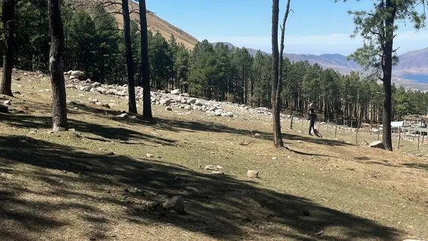 Terreno en Pinar de los Ciervos