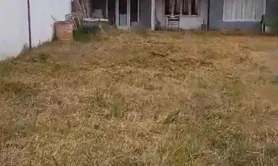 Terreno en Jacaranda y Chiripa al 100
