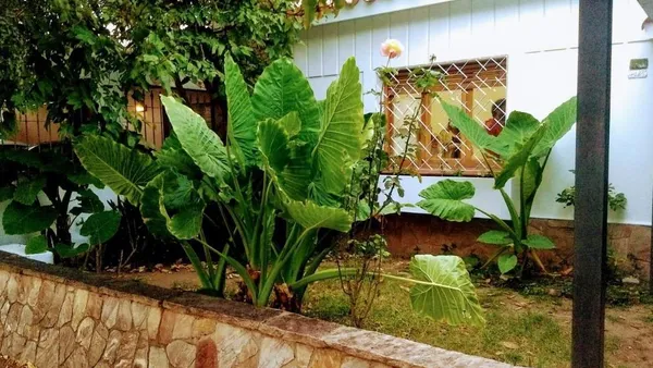 Casa en Francisco Drummond 3100