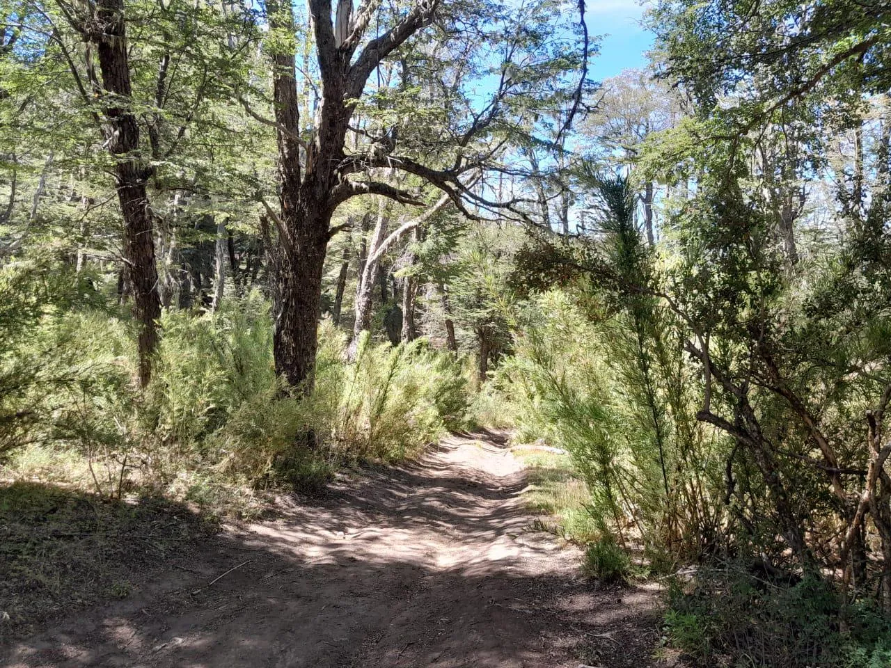 Terreno en Lote en venta en barrio altos del Kaeluche - San Martin De Los Andes -
