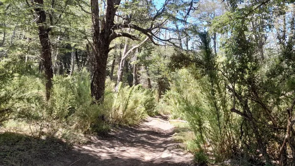 Terreno en Lote en venta en barrio altos del Kaeluche - San Martin De Los Andes -