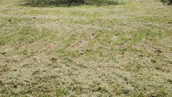 Terreno en Calle 6 S/N Sauce Viejo Tembé I Porá