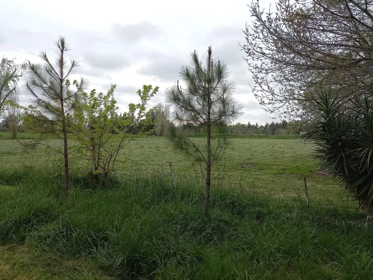 Terreno en 150 y 458