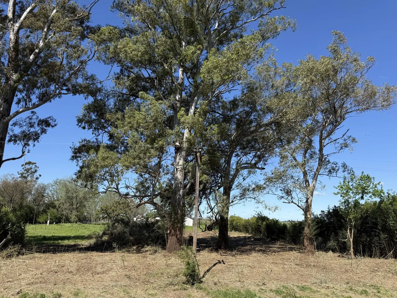 Terreno en Colectora A012
