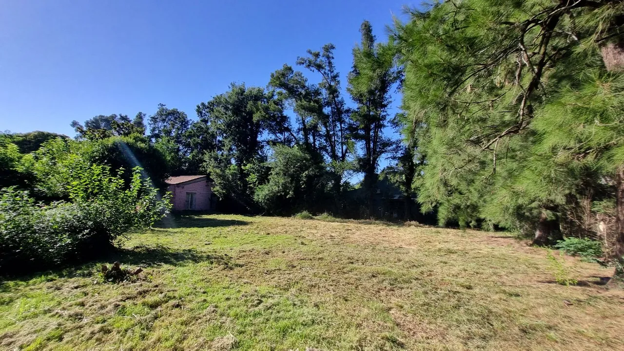 Terreno en Lote de 10x26 en Zona Arbolada de La Reja – Cerca de la Estación