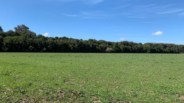 Campo en Ruta Nacional 5