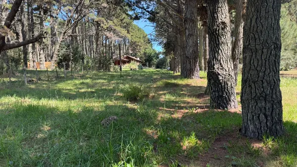 Terreno en Calle a ceder s/n entre Av. Santa Fe y Uno