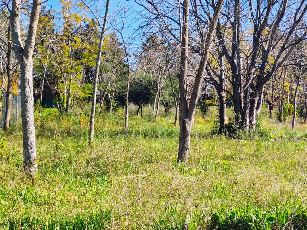 Terreno en Excelente Lote de 600 m² en Loma Verde