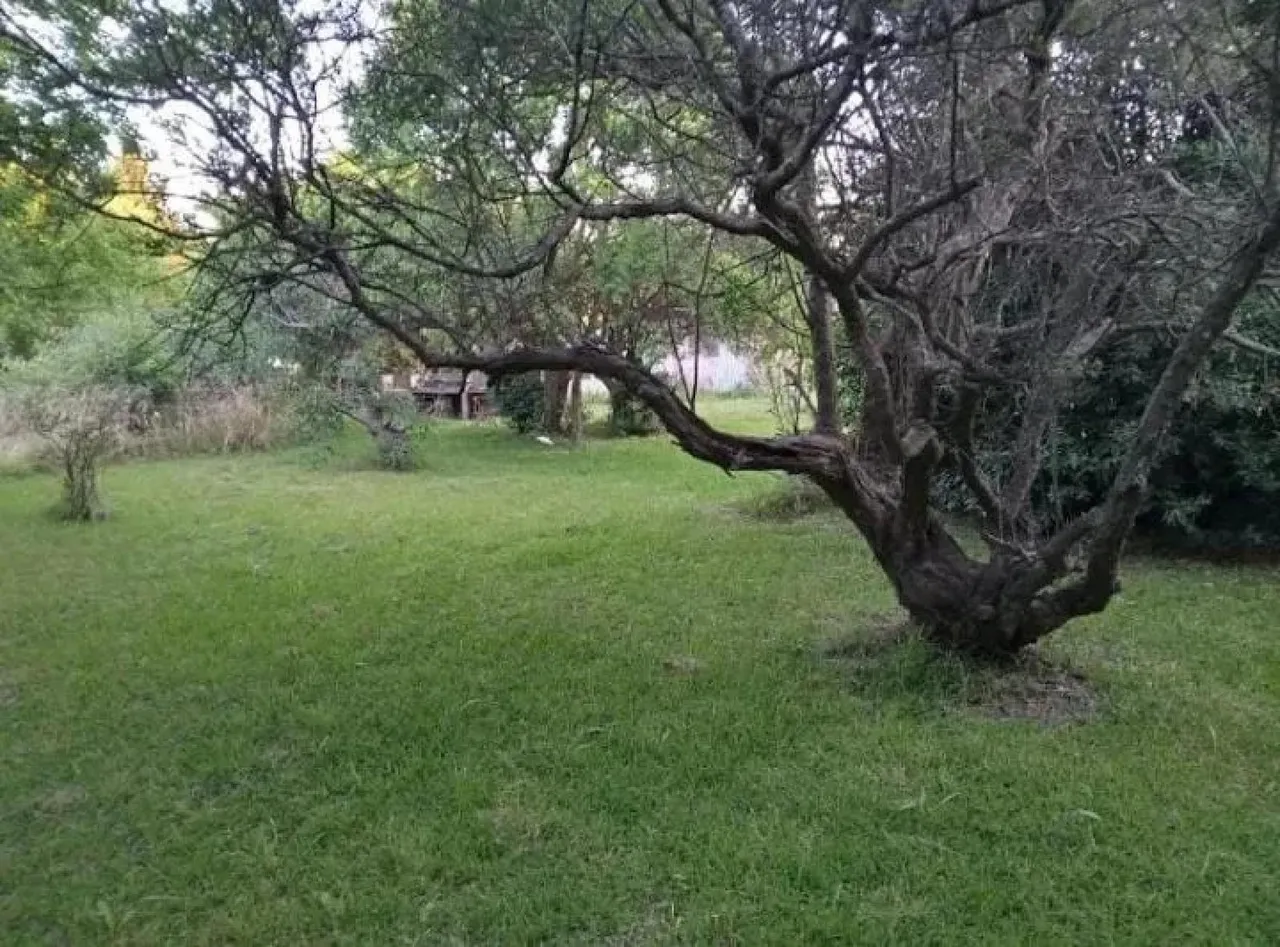 Terreno en Avenida Laprida y Tubichaminies