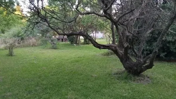 Terreno en Avenida Laprida y Tubichaminies