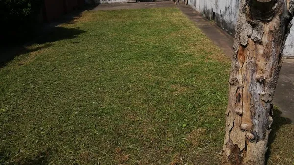 Casa en calle 27 entre 68 y 69