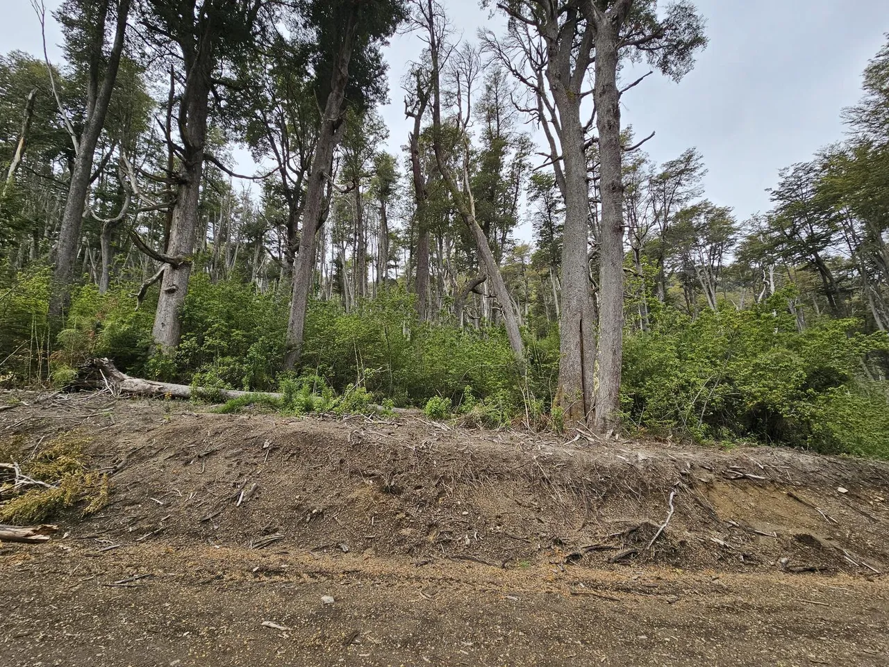 Terreno en Loma Guacha